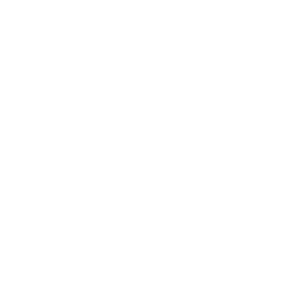 Secure Online Payment